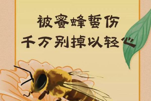 梦见被蜂子追着蛰预示什么