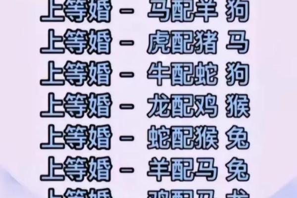 红头文件是什么生肖 红头文件打一个准确生肖