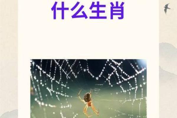 逢场作戏打一正确生肖