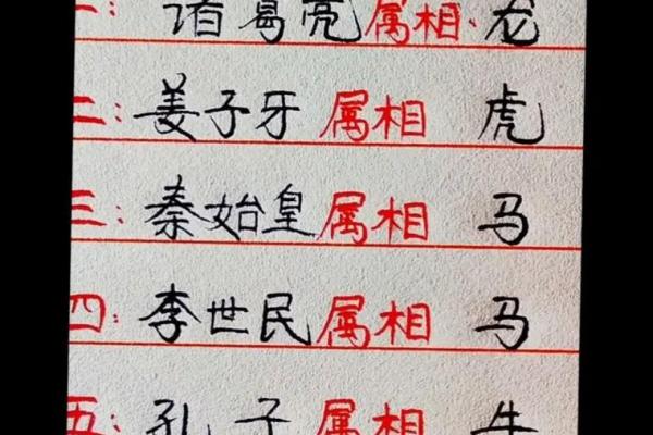 2009年是什么生肖年