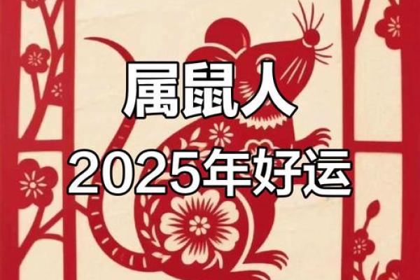 属鼠2025年全年运势运程(属鼠2025年全年运势运程及每月运程)