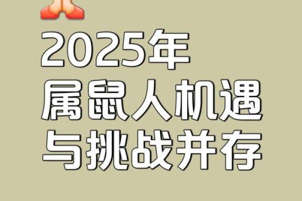 2025年属鼠人的全年运势1972年出生(1984属鼠2025年的运势及运程)