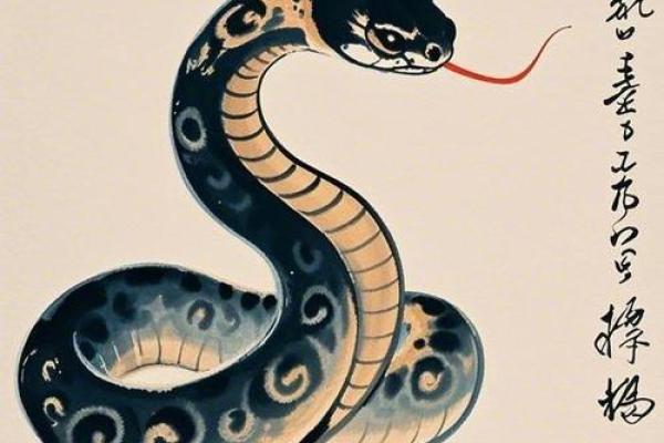 桃花初开猜生肖