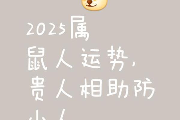 鼠2025年运势及运程每月运程(鼠2025年运势及运程每月运程如何)