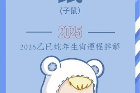 属鼠的今天运气怎么样(鼠年今年运势如何)