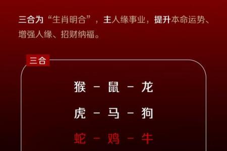 红口白牙打一正确动物 红口白牙打一个准确生肖动物