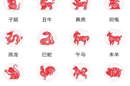 狼烟四起什么生肖