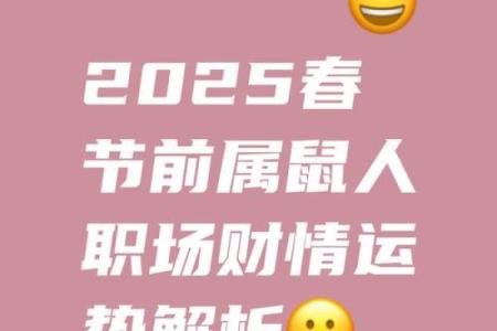 鼠2025年运势及运程每月运程(鼠2025年运势及运程每月运程如何)