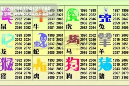 根壮叶茂是指什么生肖