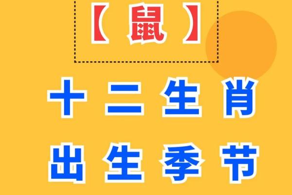 属鼠的人今天运气如何(属鼠的人今日运势查询)