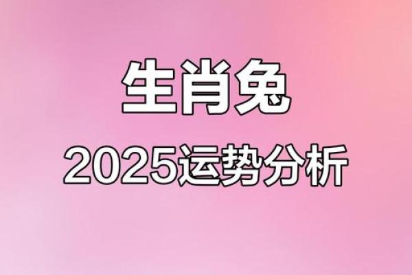 2025年生肖兔全年运程 2025年生肖兔全年运程和每月运势-百...