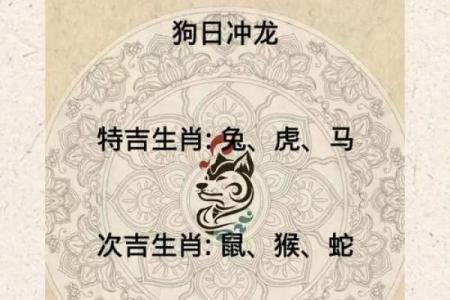 属鼠今日财运和运势(属鼠今日财运和运势造王者)