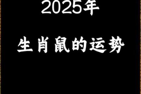 72年鼠女2025年每月运势完整版(72年女鼠202l生运势)