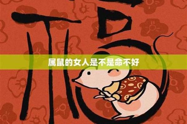 72年属鼠人的运势(72年属鼠人的运势及破解方法)