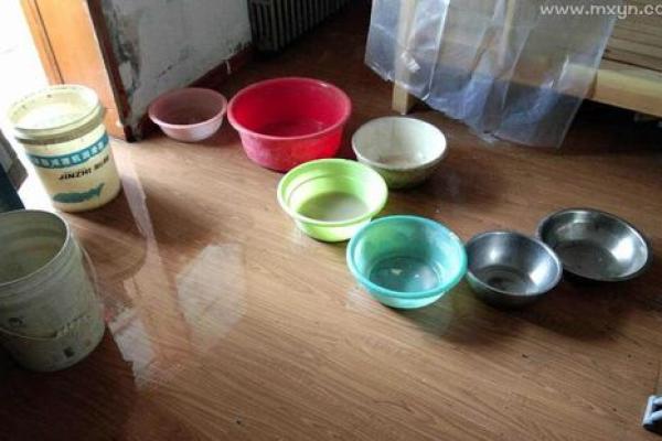 梦见自己房屋漏水是什么预兆