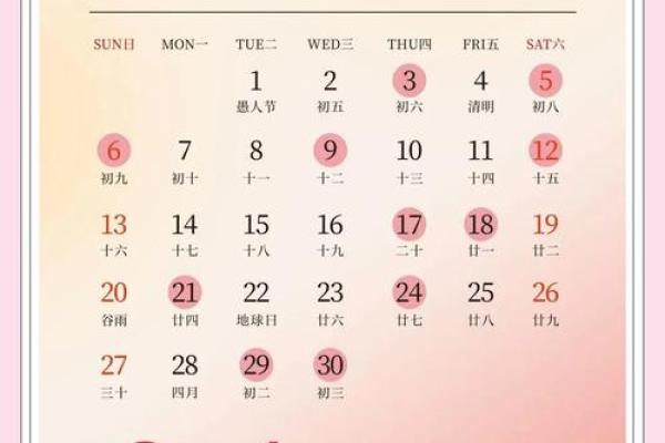 2025年适合领证的吉日(2025年适合领证的吉日是)