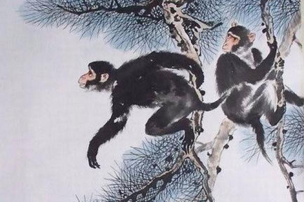 高瞻远瞩打一个生肖