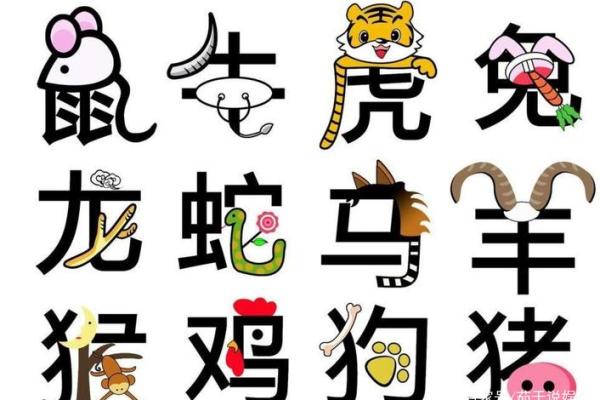高瞻远瞩打一个生肖