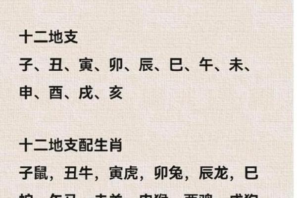 84年鼠男2025年运势及每月的运程(84年鼠男未来十年运势)