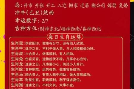 属鼠明日运势(属鼠明日运势查询女生)