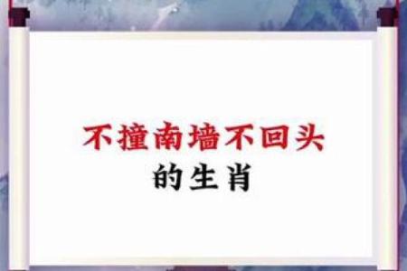 灰不喇唧代表什么生肖