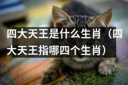 出乖露丑指什么生肖