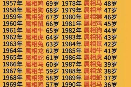 56年属什么生肖