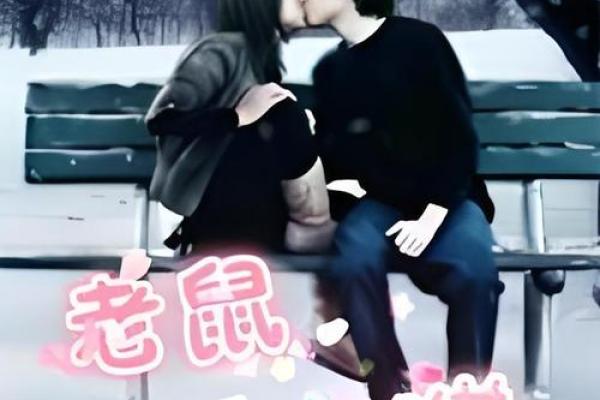 梦见猫追老鼠
