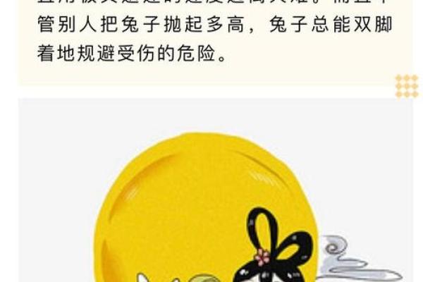 过耳秋风是什么生肖