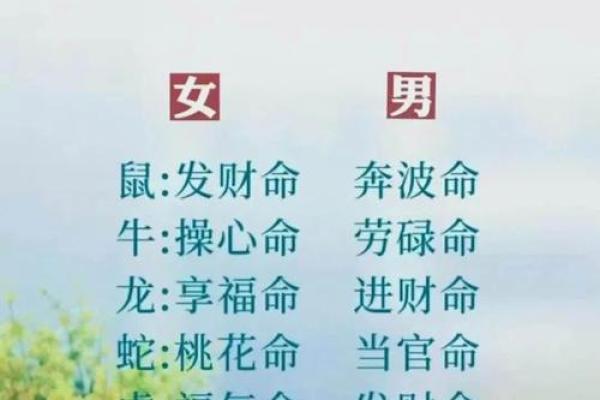 忠勇双全指一肖 忠勇双全指哪个生肖