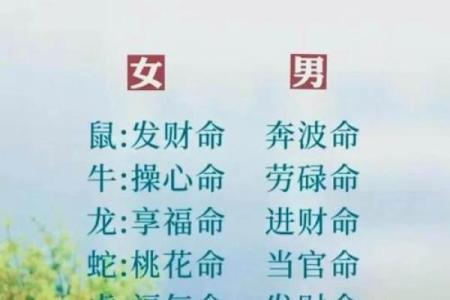 忠勇双全指一肖 忠勇双全指哪个生肖