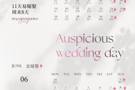 2025年5月20日宜领证吗(2025年5月20日是什么日子)