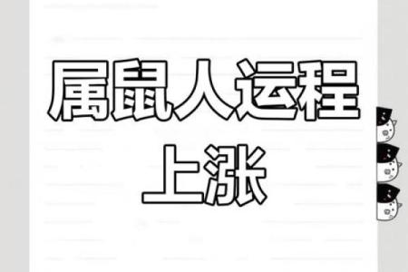 属鼠卯时出生的男孩命运怎么样(属鼠卯时出生的男孩命运怎么样呢)