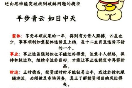 属鼠今年的运势(属鼠今年的运势属鼠的今年运程)