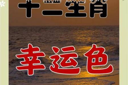 72年老鼠2025年运势(72年老鼠2021年运势)