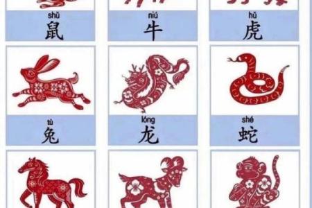 争风吃醋的生肖是什么 争风吃醋打一生肖是什么
