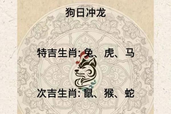 属鼠人2025年运势及每月运势(属鼠人2025年运势及每月运势如何)
