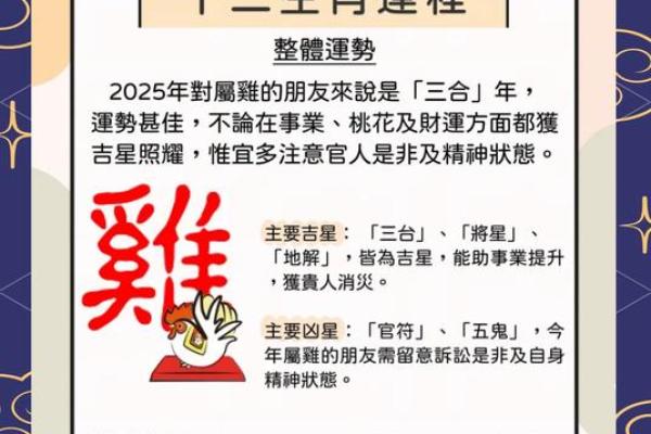 1972年属鼠男2025年运势(1972年属鼠男2025年运势运程每月运程)