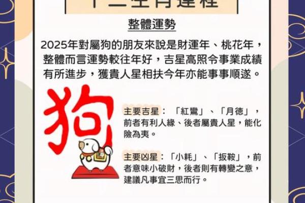 1972年属鼠男2025年运势(1972年属鼠男2025年运势运程每月运程)