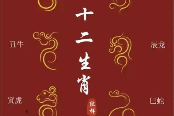 奇花异果是什么生肖