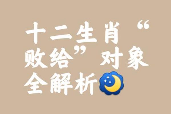 认贼作父是什么生肖 认贼作父打一生肖动物