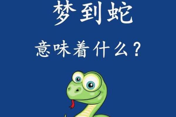 梦到蛇追自己