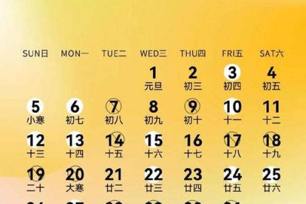 2025年哪天适合结婚(2025年哪天适合结婚)