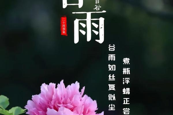春雨沥沥是什么生肖 春雨沥沥打一生肖