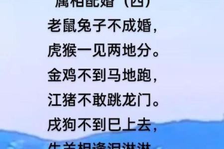 捕风弄月是什么生肖 捕风弄月打一动物