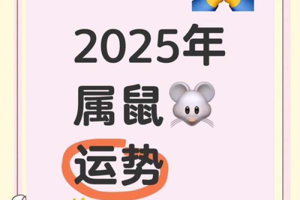 属鼠2025年运势如何(84年属鼠2025年运势及运程详解)