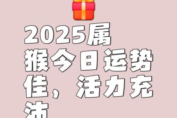 2022属猴领证黄道吉日(2021属猴领证黄道吉日)