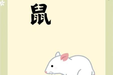 96年的女鼠2025年整年运势(96年属鼠女2025年运势及运程每月运程)