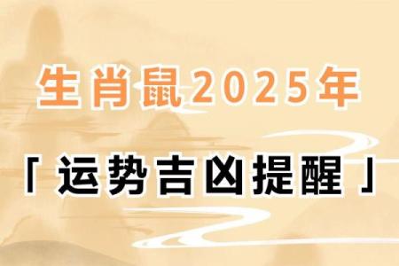 属鼠2025年运势如何(84年属鼠2025年运势及运程详解)