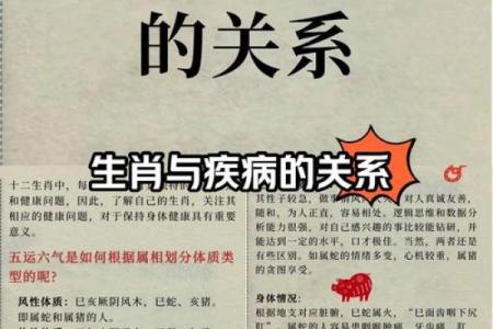 七上八落是什么生肖